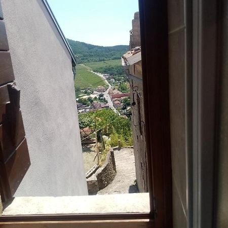 Rooms Serafin-Lavanda Motovun Buitenkant foto