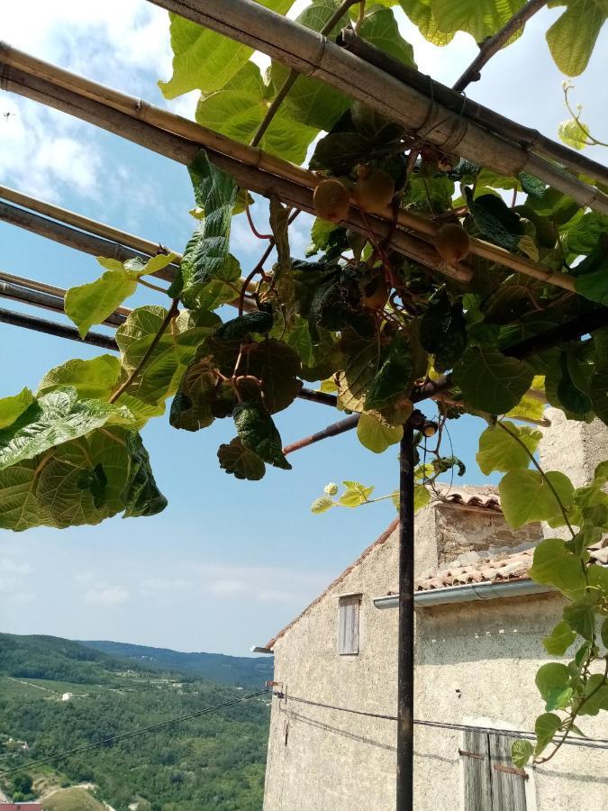 Rooms Serafin-Lavanda Motovun Buitenkant foto
