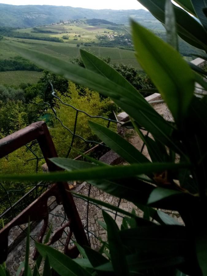 Rooms Serafin-Lavanda Motovun Buitenkant foto